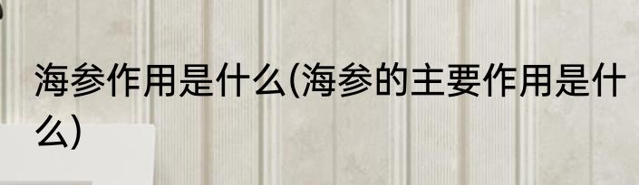 海参作用是什么(海参的主要作用是什么)