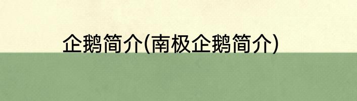 企鹅简介(南极企鹅简介)