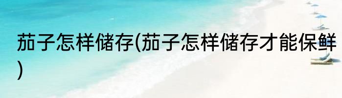 茄子怎样储存(茄子怎样储存才能保鲜)