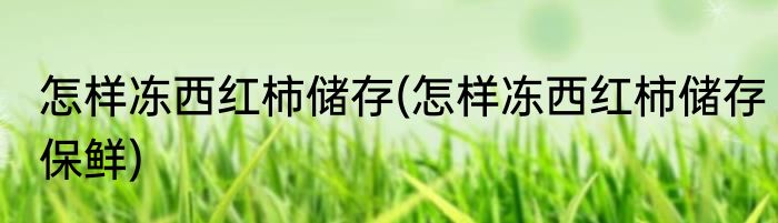 怎样冻西红柿储存(怎样冻西红柿储存保鲜)