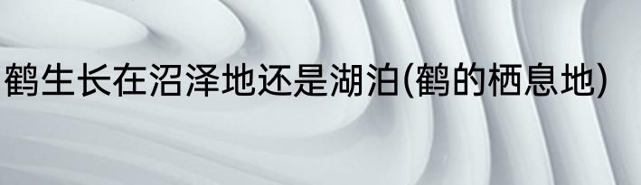 鹤生长在沼泽地还是湖泊(鹤的栖息地)