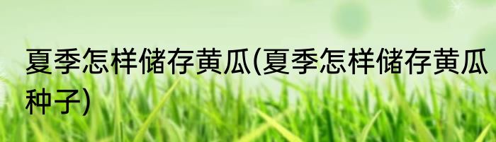 夏季怎样储存黄瓜(夏季怎样储存黄瓜种子)