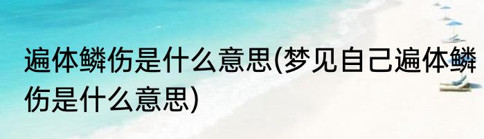 遍体鳞伤是什么意思(梦见自己遍体鳞伤是什么意思)