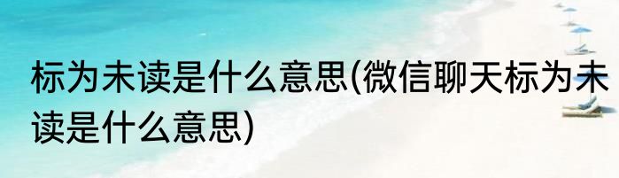 标为未读是什么意思(微信聊天标为未读是什么意思)