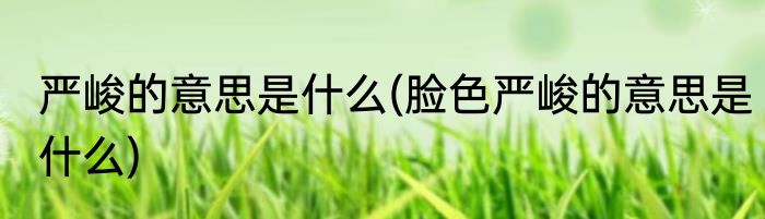 严峻的意思是什么(脸色严峻的意思是什么)