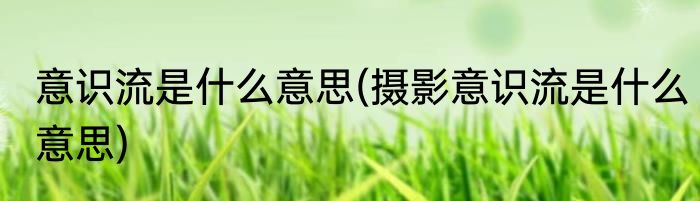 意识流是什么意思(摄影意识流是什么意思)