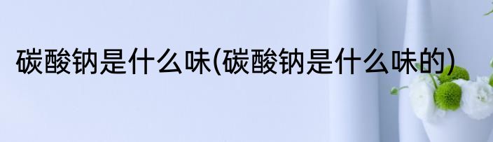 碳酸钠是什么味(碳酸钠是什么味的)