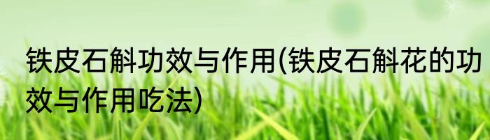 铁皮石斛功效与作用(铁皮石斛花的功效与作用吃法)