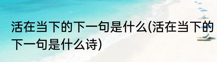 活在当下的下一句是什么(活在当下的下一句是什么诗)