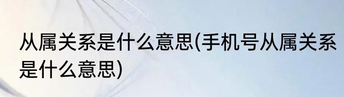 从属关系是什么意思(手机号从属关系是什么意思)