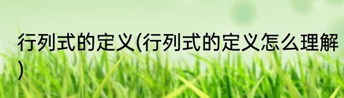行列式的定义(行列式的定义怎么理解)