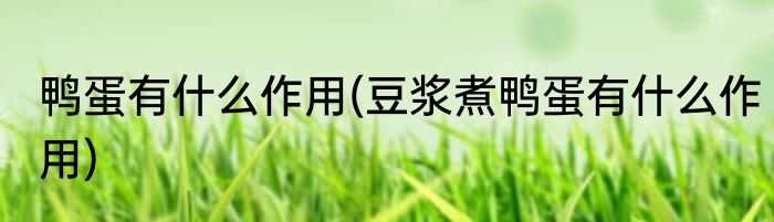 鸭蛋有什么作用(豆浆煮鸭蛋有什么作用)