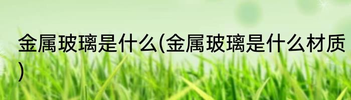 金属玻璃是什么(金属玻璃是什么材质)