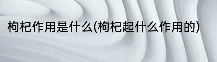 枸杞作用是什么(枸杞起什么作用的)