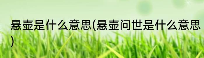 悬壶是什么意思(悬壶问世是什么意思)