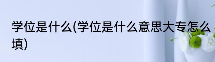 学位是什么(学位是什么意思大专怎么填)
