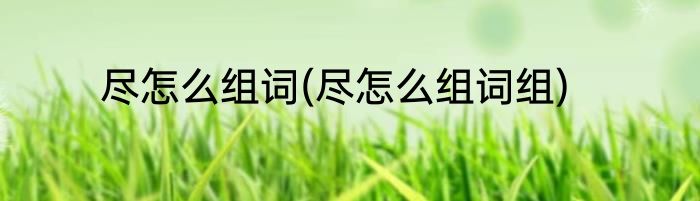 尽怎么组词(尽怎么组词组)