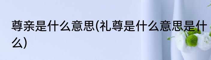 尊亲是什么意思(礼尊是什么意思是什么)