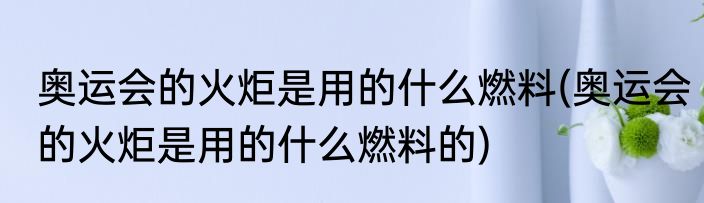 奥运会的火炬是用的什么燃料(奥运会的火炬是用的什么燃料的)