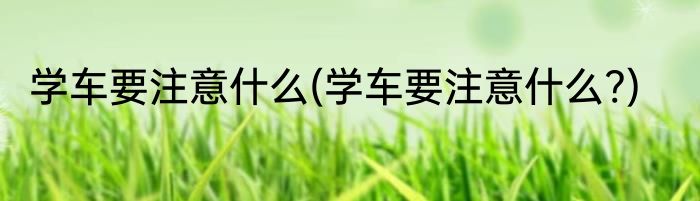 学车要注意什么(学车要注意什么?)