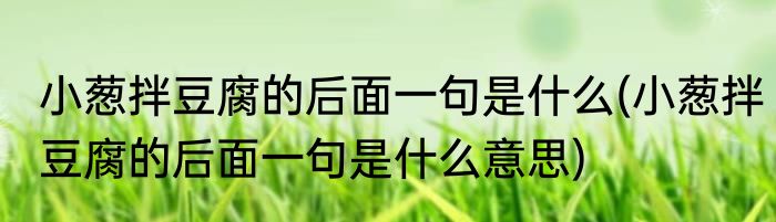 小葱拌豆腐的后面一句是什么(小葱拌豆腐的后面一句是什么意思)