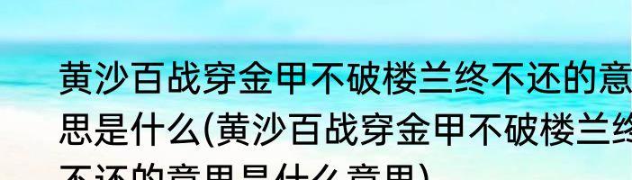 黄沙百战穿金甲不破楼兰终不还的意思是什么(黄沙百战穿金甲不破楼兰终不还的意思是什么意思)