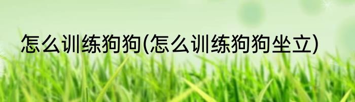 怎么训练狗狗(怎么训练狗狗坐立)