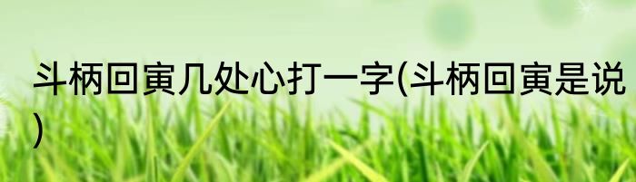 斗柄回寅几处心打一字(斗柄回寅是说)
