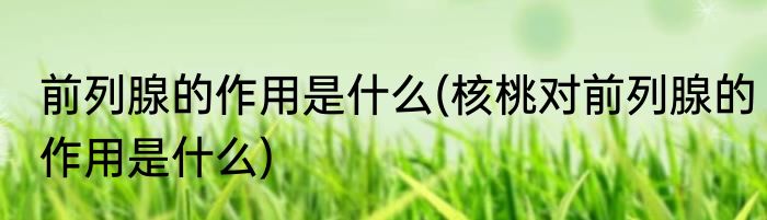 前列腺的作用是什么(核桃对前列腺的作用是什么)