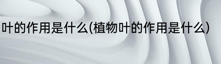 叶的作用是什么(植物叶的作用是什么)