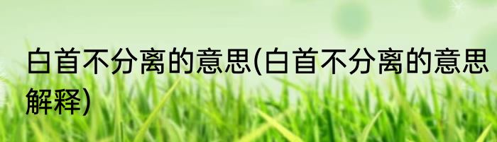 白首不分离的意思(白首不分离的意思解释)
