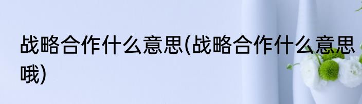 战略合作什么意思(战略合作什么意思哦)