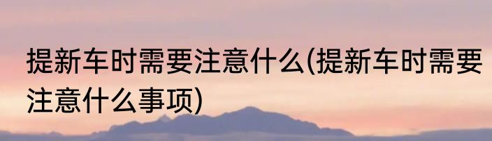 提新车时需要注意什么(提新车时需要注意什么事项)