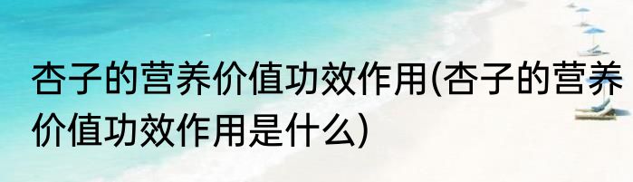 杏子的营养价值功效作用(杏子的营养价值功效作用是什么)