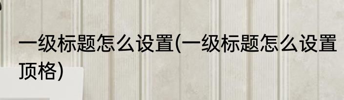 一级标题怎么设置(一级标题怎么设置顶格)