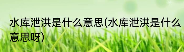 水库泄洪是什么意思(水库泄洪是什么意思呀)