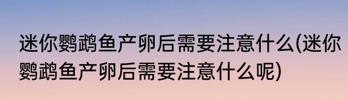 迷你鹦鹉鱼产卵后需要注意什么(迷你鹦鹉鱼产卵后需要注意什么呢)
