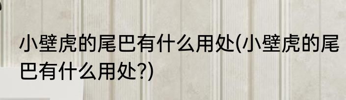 小壁虎的尾巴有什么用处(小壁虎的尾巴有什么用处?)