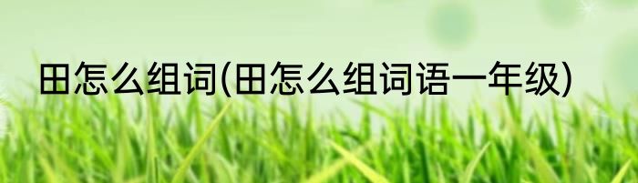田怎么组词(田怎么组词语一年级)