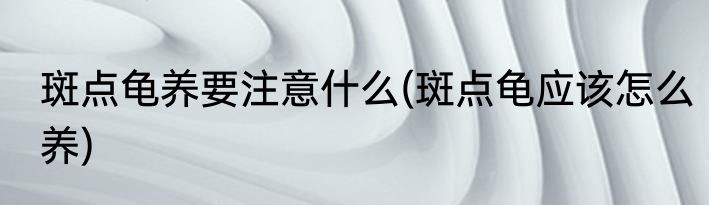 斑点龟养要注意什么(斑点龟应该怎么养)