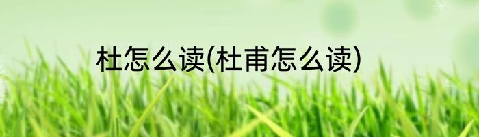 杜怎么读(杜甫怎么读)