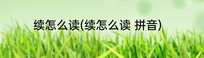 续怎么读(续怎么读 拼音)