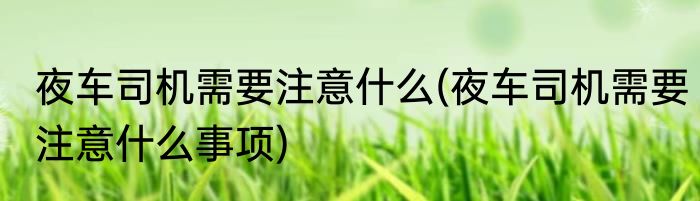 夜车司机需要注意什么(夜车司机需要注意什么事项)
