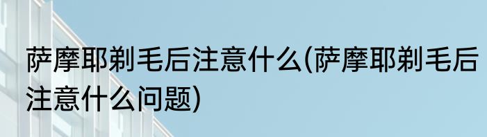 萨摩耶剃毛后注意什么(萨摩耶剃毛后注意什么问题)