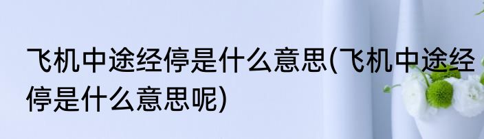 飞机中途经停是什么意思(飞机中途经停是什么意思呢)