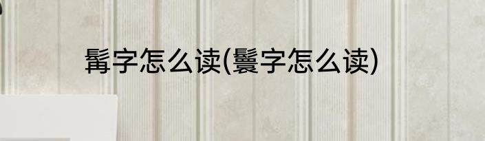 髯字怎么读(鬟字怎么读)