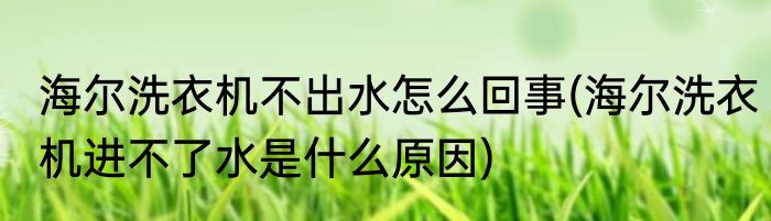 海尔洗衣机不出水怎么回事(海尔洗衣机进不了水是什么原因)