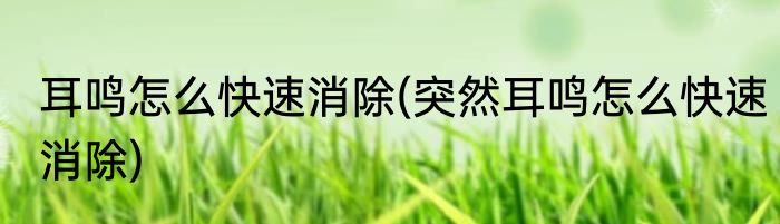 耳鸣怎么快速消除(突然耳鸣怎么快速消除)