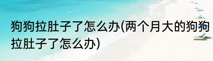 狗狗拉肚子了怎么办(两个月大的狗狗拉肚子了怎么办)