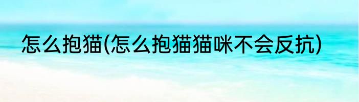怎么抱猫(怎么抱猫猫咪不会反抗)
